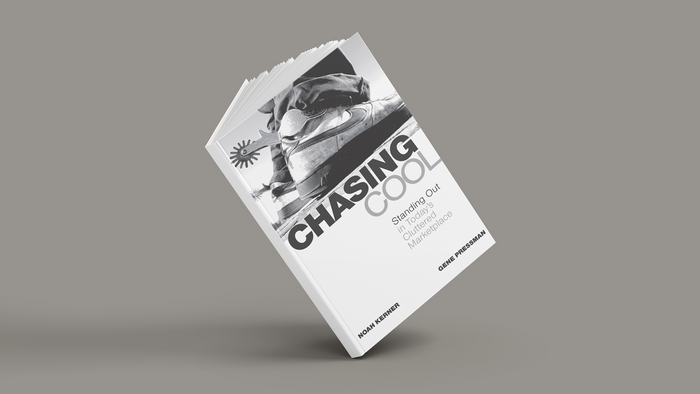 Chasing Cool Book Summary: What Makes A Brand Cool