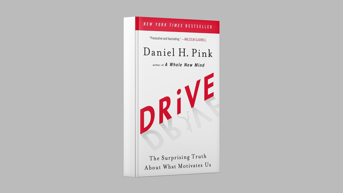 Drive Book Summary: Team Motivation Incentive Ideas