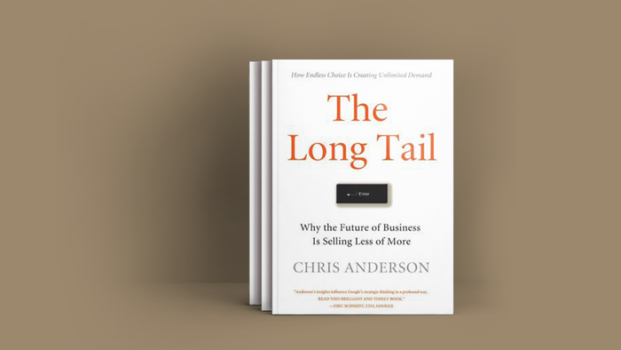 The Long Tail Book Summary an SEO Book
