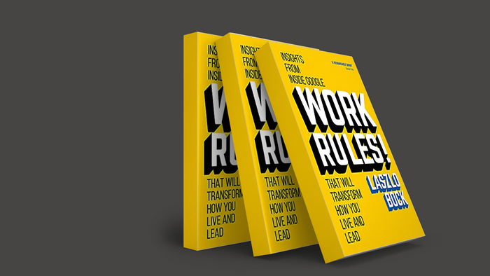 WORK RULES! Book Summary: Leadership Keys From Inside Google